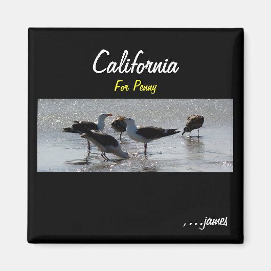 Aimant L'aimant de Penny (Devant)