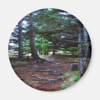 Aimant L'aimant des escaliers de la nature