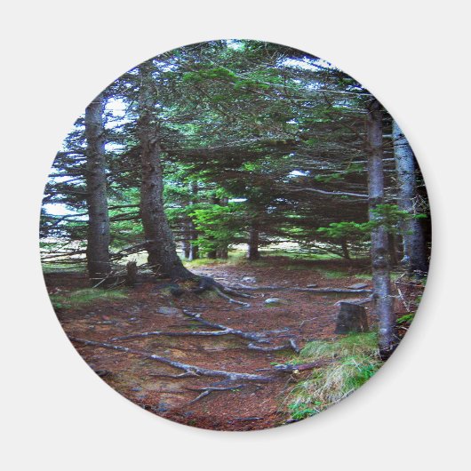 Aimant L'aimant des escaliers de la nature (Devant)