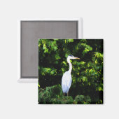 Aimant L'aimant des oiseaux blancs (Recto/Verso)