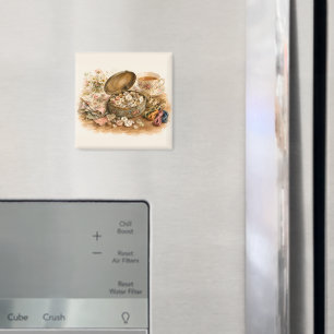 Aimant L'aimant en boîte à bouton