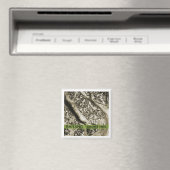 Aimant L'aimant frigo des arbres d'été (In Situ (Lave-vaisselle))