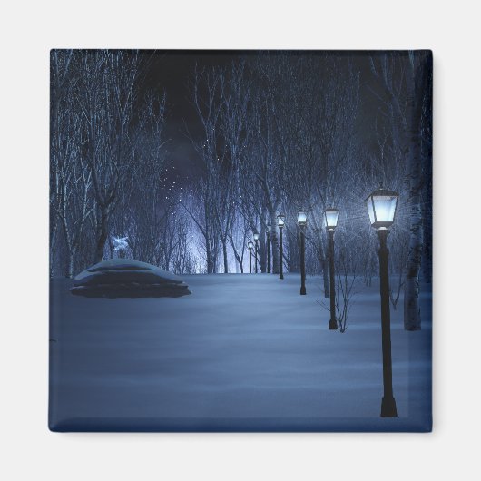 Aimant L'aimant léger de l'idiot (Devant)