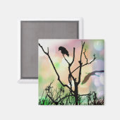 Aimant L'aimant Lonely Crow (Recto/Verso)