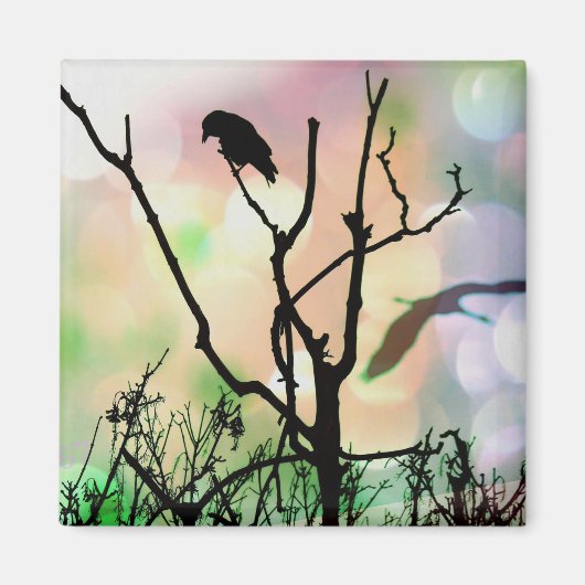 Aimant L'aimant Lonely Crow (Devant)