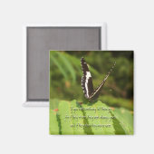 Aimant Laisse-les aller (Recto/Verso)