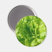 Aimant Laitue (Recto/Verso)
