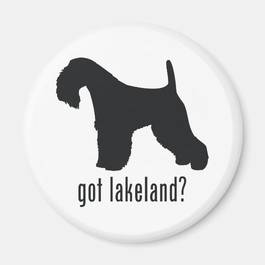 Aimant Lakeland Terrier (Devant)