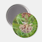 Aimant L'algue est jolie (Recto/Verso)