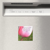 Aimant L'âme (In Situ (Lave-vaisselle))