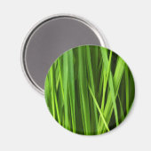 Aimant Lames d'herbe (Recto/Verso)