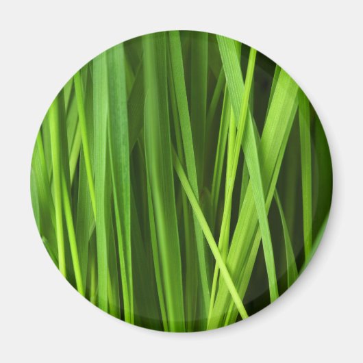 Aimant Lames d'herbe (Devant)