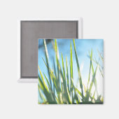 Aimant Lames éclairées (Recto/Verso)