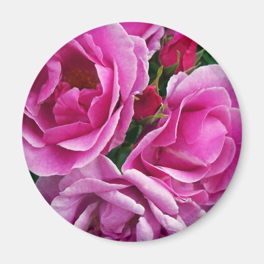 Aimant L'ami compatissant (Devant)