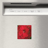 Aimant L'amour de l'Hibiscus... (In Situ (Lave-vaisselle))