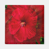 Aimant L'amour de l'Hibiscus... (Devant)