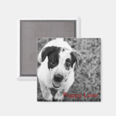 Aimant L'amour des chiots (Recto/Verso)