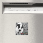 Aimant L'amour des chiots (In Situ (Lave-vaisselle))