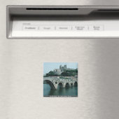 Aimant L'Ancien Pont, XIIIe siècle, Béziers, France (In Situ (Lave-vaisselle))