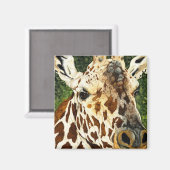 Aimant L'Ancienne Giraffe Bachelor (Recto/Verso)