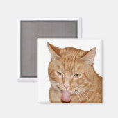 Aimant Langue des chats (Recto/Verso)