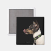 Aimant Langue du Terrier noir et blanc (Recto/Verso)