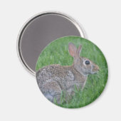 aimant lapin (Recto/Verso)