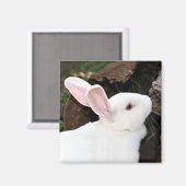 aimant lapin (Recto/Verso)