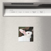 aimant lapin (In Situ (Lave-vaisselle))