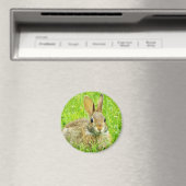 Aimant lapin (In Situ (Lave-vaisselle))