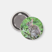 Aimant Lapin (Recto/Verso)
