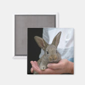Aimant lapin (Recto/Verso)