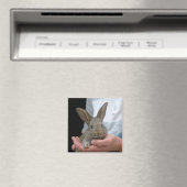 Aimant lapin (In Situ (Lave-vaisselle))