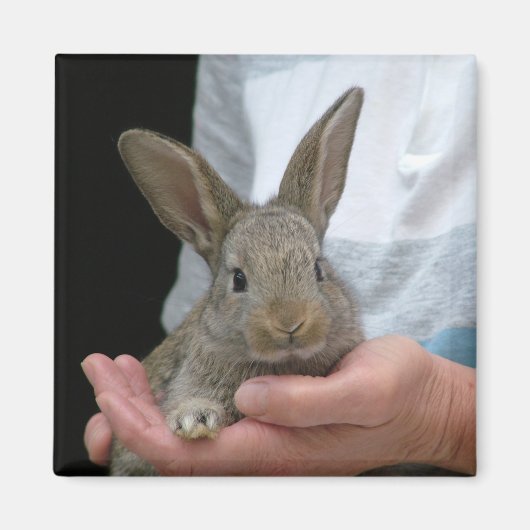 Aimant lapin (Devant)