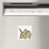 Aimant lapin (In Situ (Lave-vaisselle))