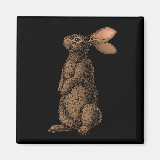 Aimant Lapin (Devant)