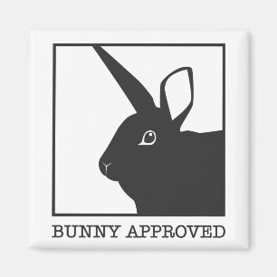 AIMANT LAPIN APPROUVÉ