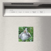 Aimant lapin bébé (In Situ (Lave-vaisselle))