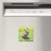 Aimant Lapin bébé mignon dans un pré fleuri   (In Situ (Lave-vaisselle))