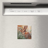 Aimant Lapin dans l'aimant du réfrigérateur de neige (In Situ (Lave-vaisselle))