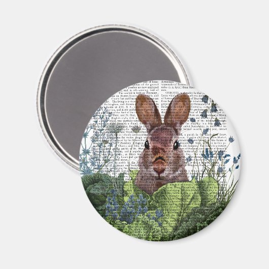 Aimant Lapin dans une patte de chou (Recto/Verso)
