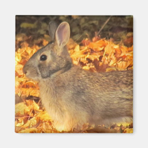Aimant Lapin d'automne