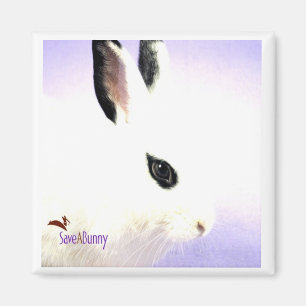 Aimant Lapin de larme