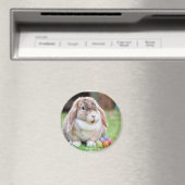 Aimant Lapin de Pâques (In Situ (Lave-vaisselle))