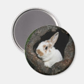 Aimant Lapin encadré (Recto/Verso)