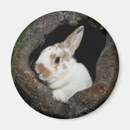 Aimant Lapin encadré (Devant)