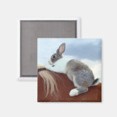 Aimant Lapin hollandais à cheval (Recto/Verso)