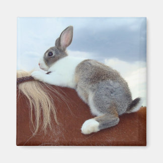 Aimant Lapin hollandais à cheval