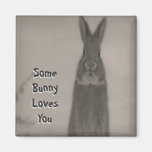 Aimant Lapin Lapin (Devant)