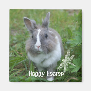 Aimant Lapin lapin